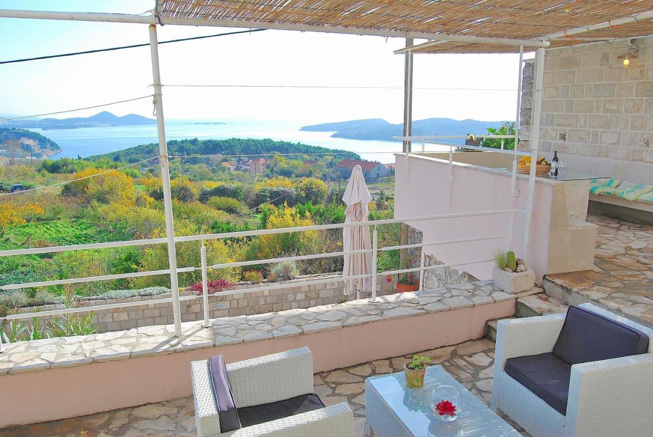 Villa Tony Orašac Exteriör bild